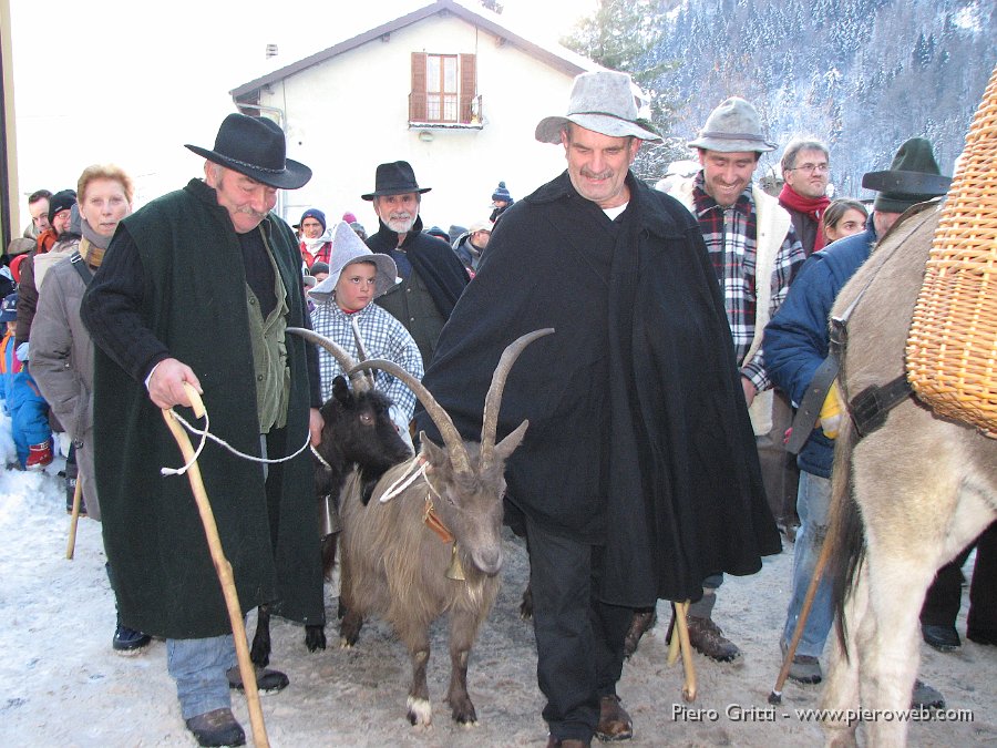 presepio 092.jpg - Capre della Val Brembana